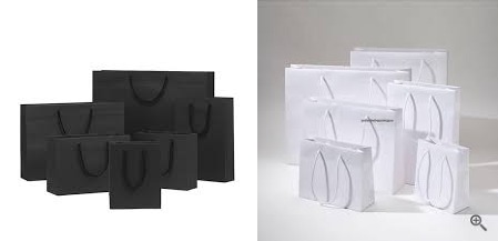 Premium shopping/paper Bag A5 Size